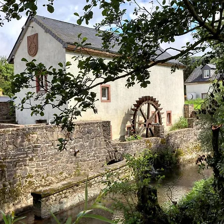 Lovely In With Sauna Apartment