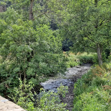 Apartment Lovely In With Sauna *