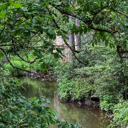 Lovely In With Sauna