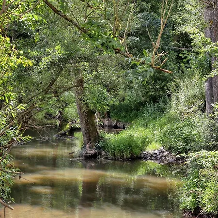 Lovely In With Sauna Apartment