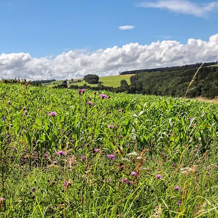 Apartment Lovely In With Sauna