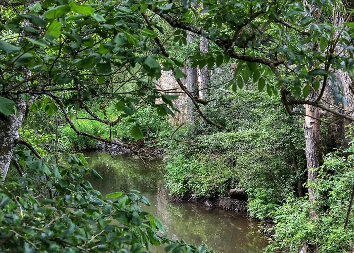 Lovely In With Sauna