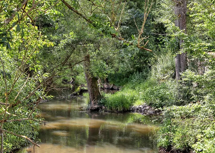 Lovely In With Sauna Lejlighed
