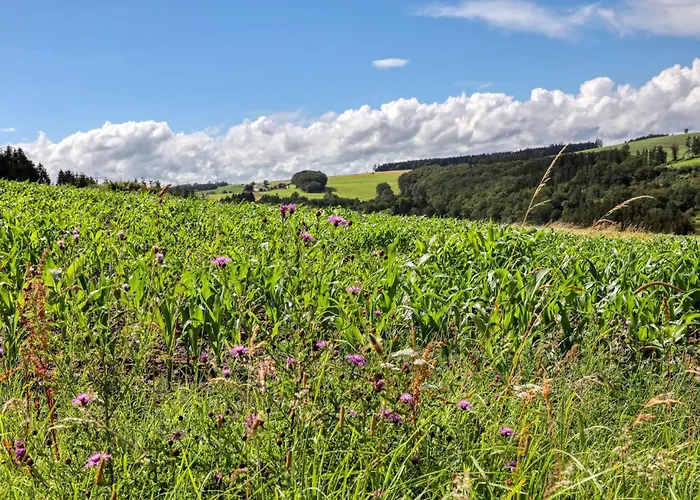 Lejlighed Lovely In With Sauna